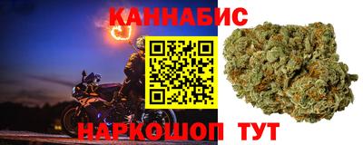 СК Нальчик