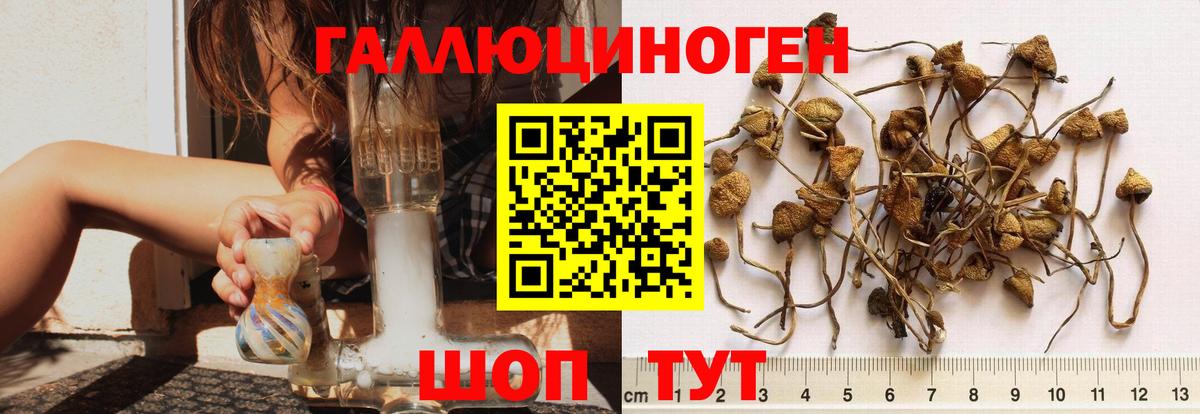 Псилоцибиновые грибы прущие грибы  Вход с VPN  как найти закладки  Шелехов 