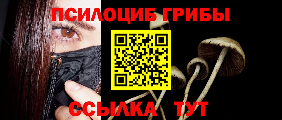 Псилоцибиновые грибы мицелий Шелехов